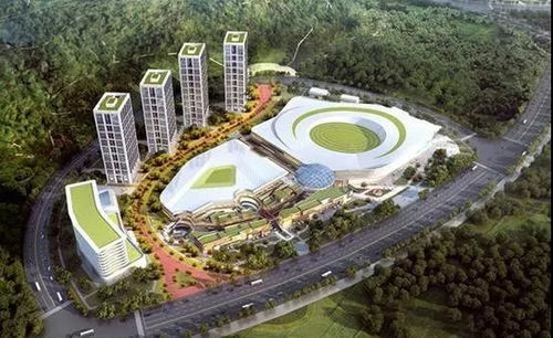 武汉跻身全球二线城市 运动项目经营迎来新机遇