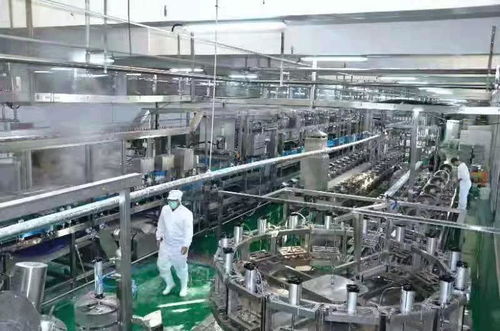 河南南街村豆腐生产线试运行 传统产业焕新颜，新年运动经营双轮驱动